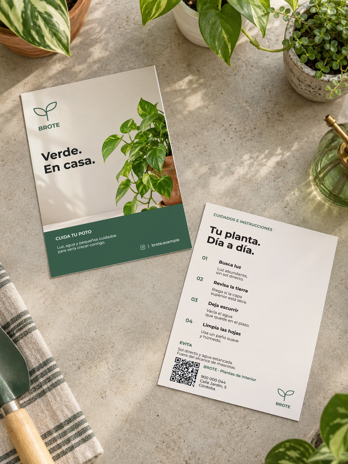 pcfg:native-lifestyle|Brote · Plantas de interior