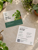 pcfg:native-hero|Brote · Plantas de interior
