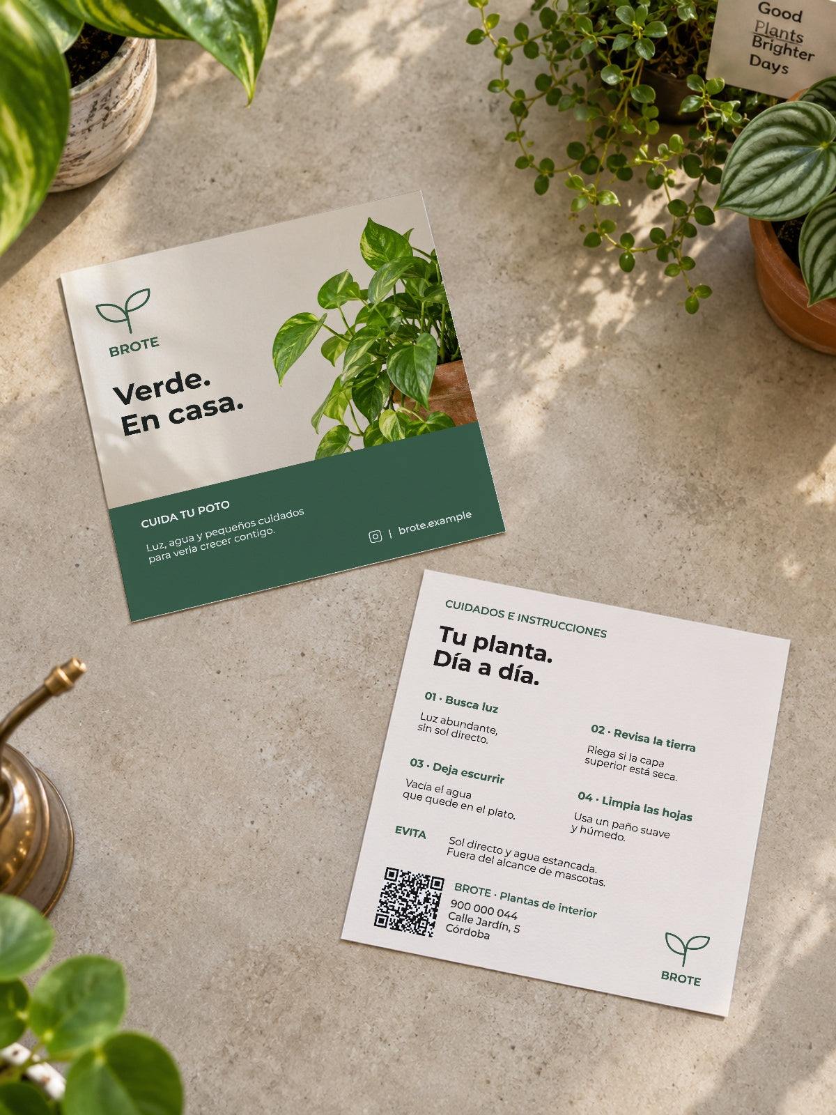 pcfg:native-hero|Brote · Plantas de interior