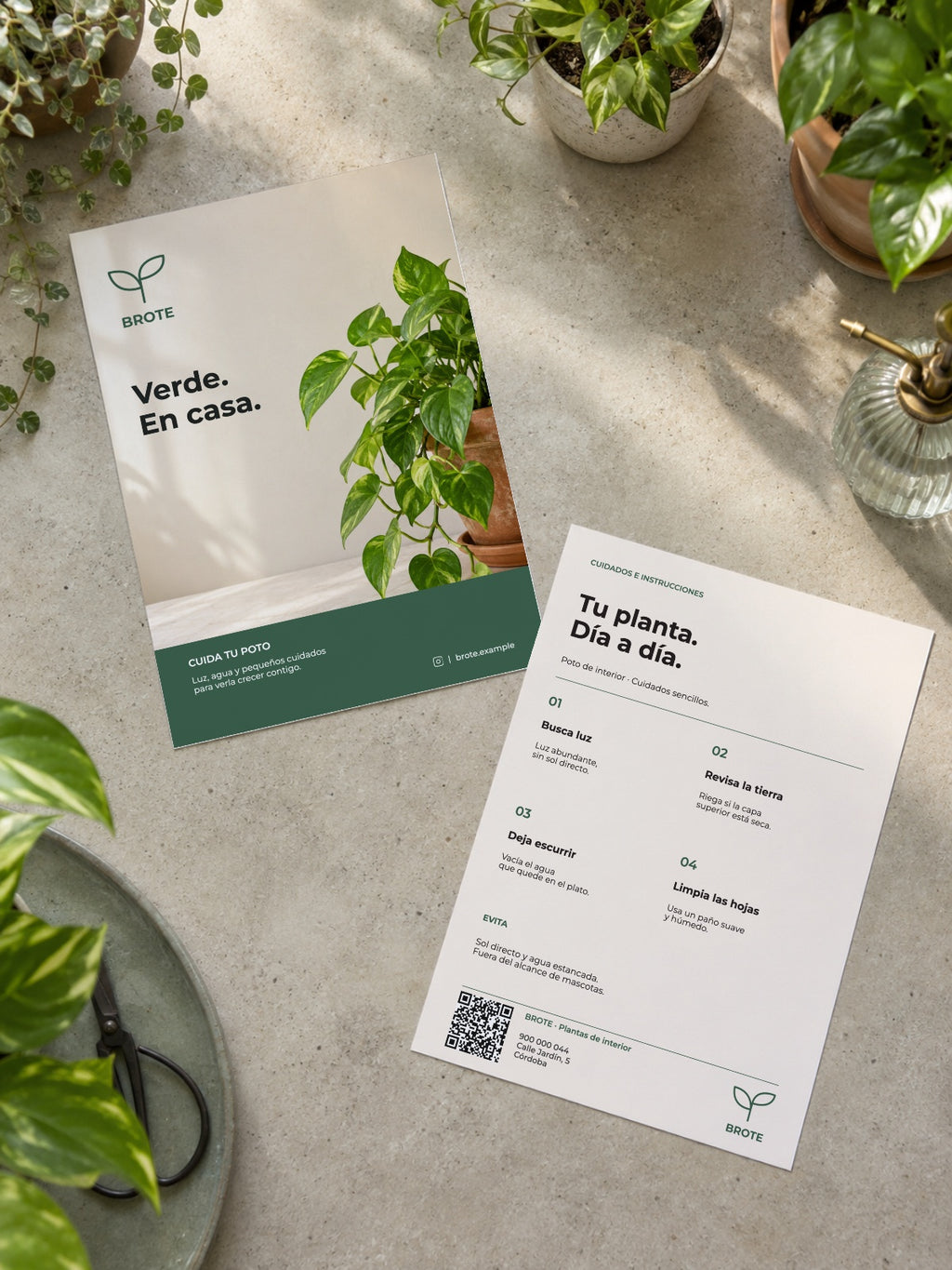 pcfg:native-hero|Brote · Plantas de interior