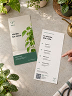pcfg:native-lifestyle|Brote · Plantas de interior
