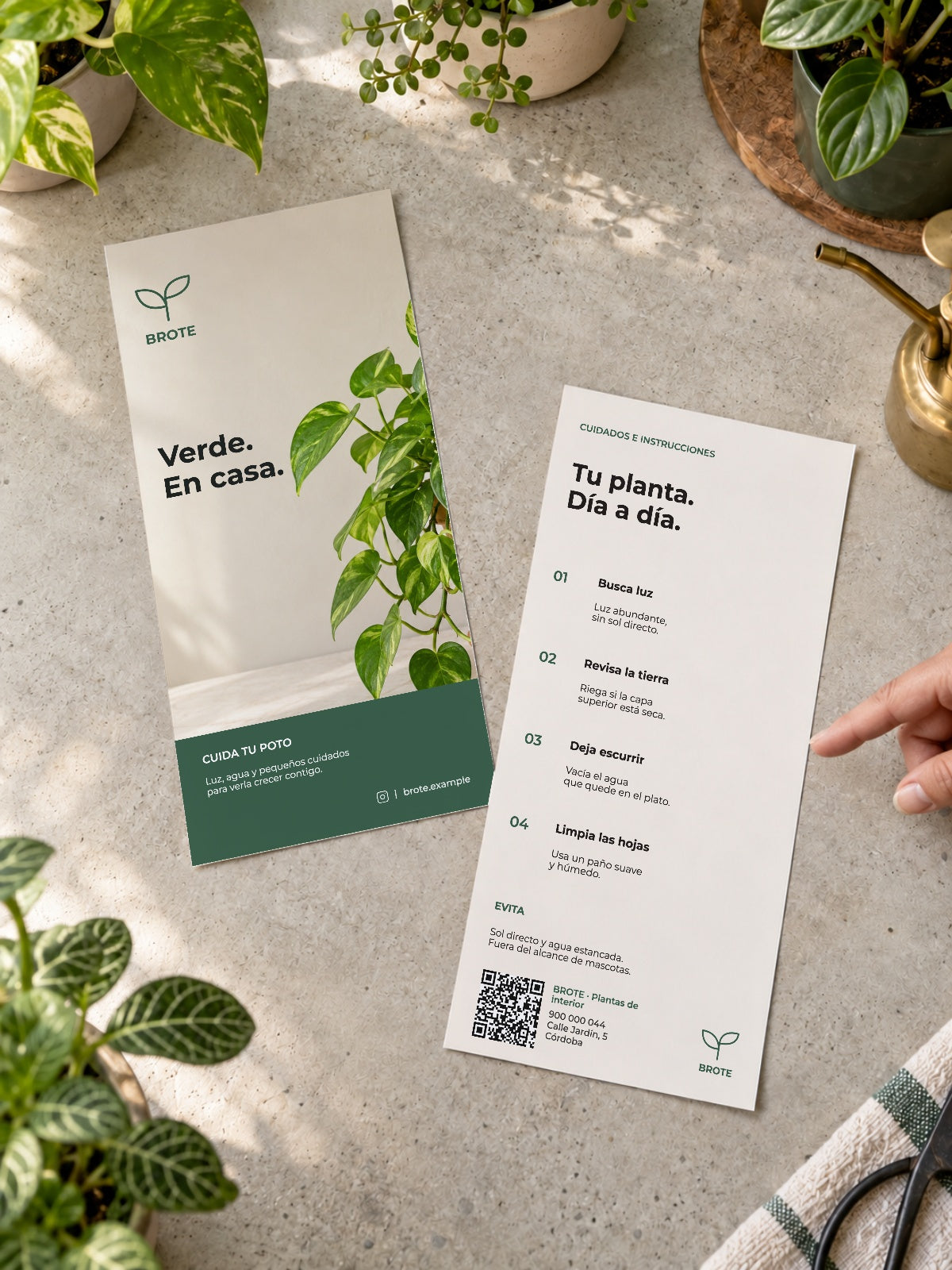 pcfg:native-lifestyle|Brote · Plantas de interior